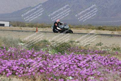 media/Feb-04-2023-SoCal Trackdays (Sat) [[8a776bf2c3]]/Turn 15 Inside Blooming (1050am)/